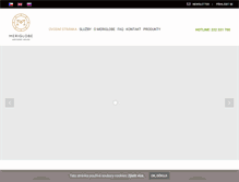 Tablet Screenshot of meriglobe.com